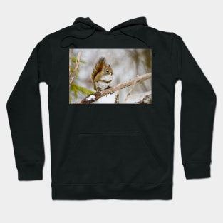 Red Squirrel Hoodie